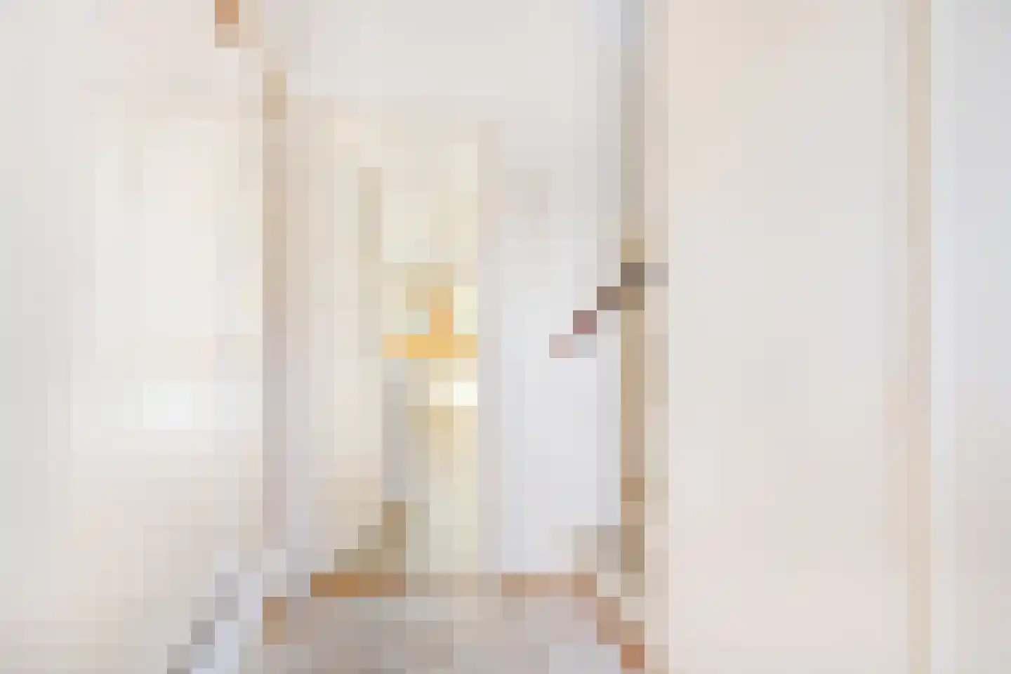 Anjerstraat 32 Steenbergen thumbnail 8
