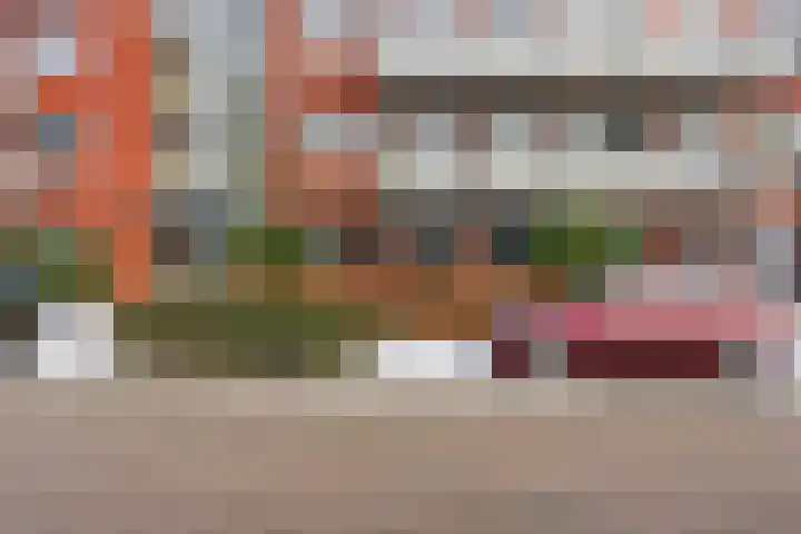 Anjerstraat 33 Alblasserdam thumbnail 32