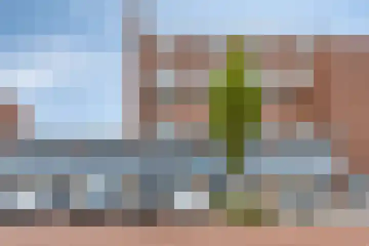 Anjerstraat 33 Spijkenisse thumbnail 5