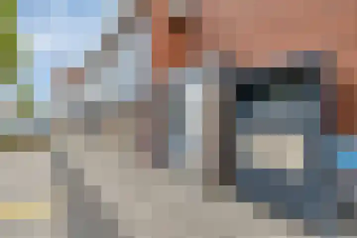 Anjerstraat 33 Spijkenisse thumbnail 6