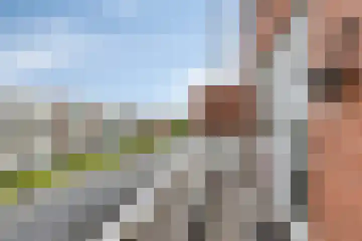 Anjerstraat 33 Spijkenisse thumbnail 8
