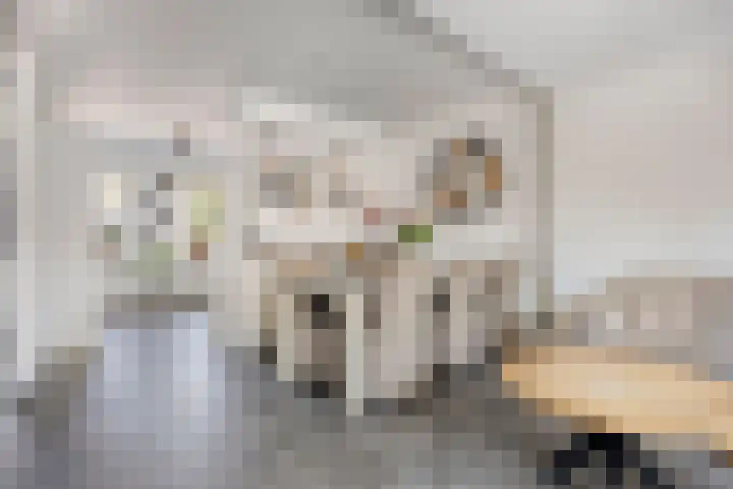 Anjerstraat 36 Steenbergen thumbnail 9