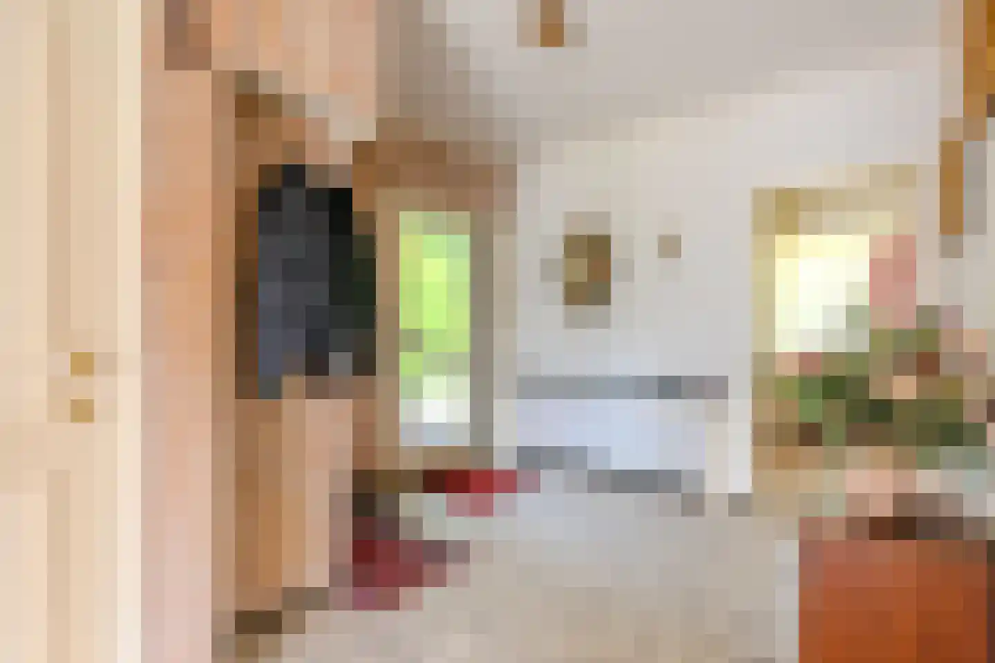 Anjerstraat 37 Putte thumbnail 29