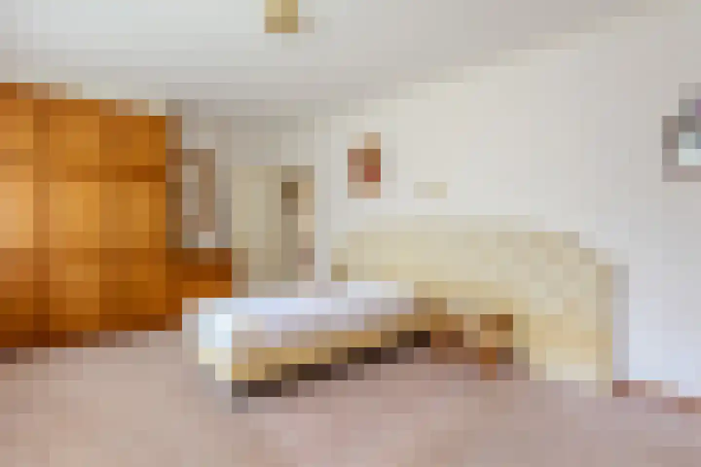 Anjerstraat 37 Putte thumbnail 32