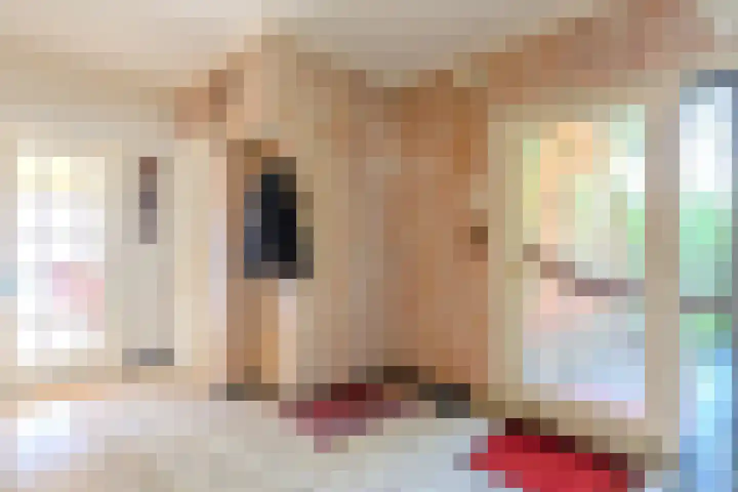 Anjerstraat 37 Putte thumbnail 35