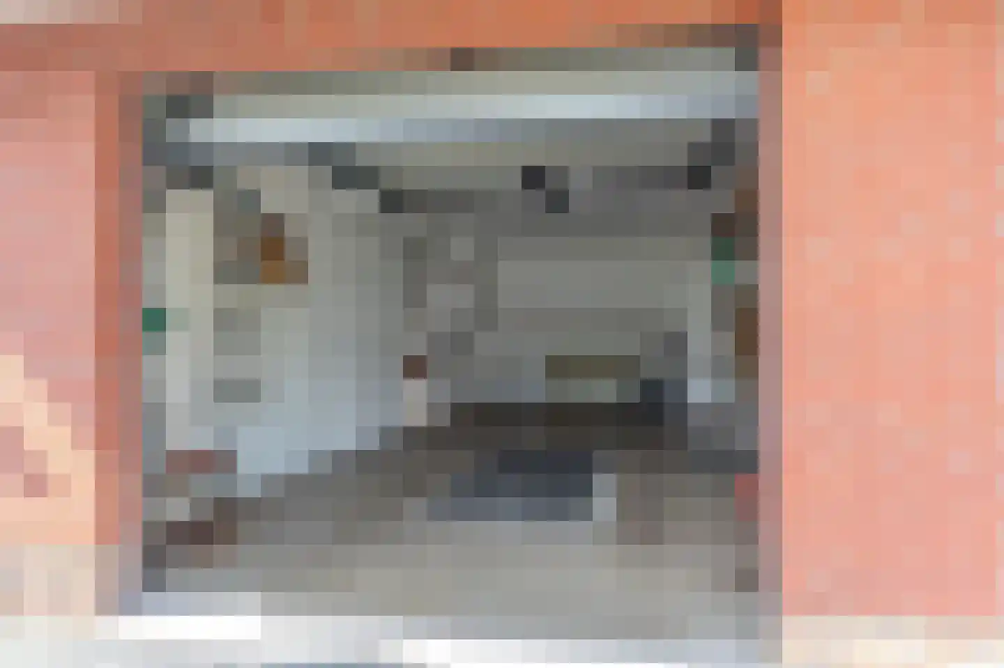 Anjerstraat 37 Putte thumbnail 36