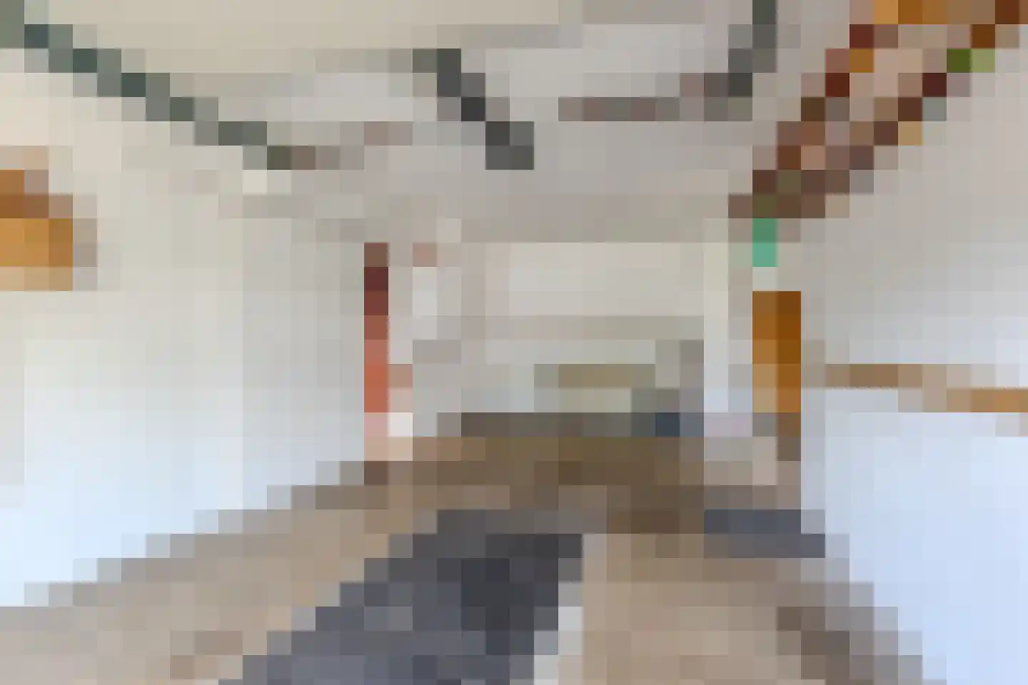 Anjerstraat 37 Putte thumbnail 37