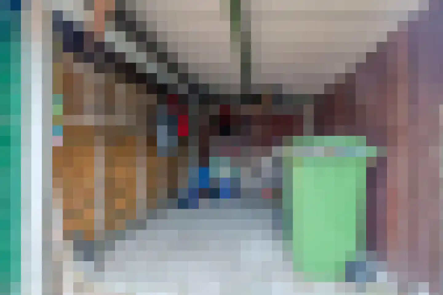 Anjerstraat 37 Putte thumbnail 47