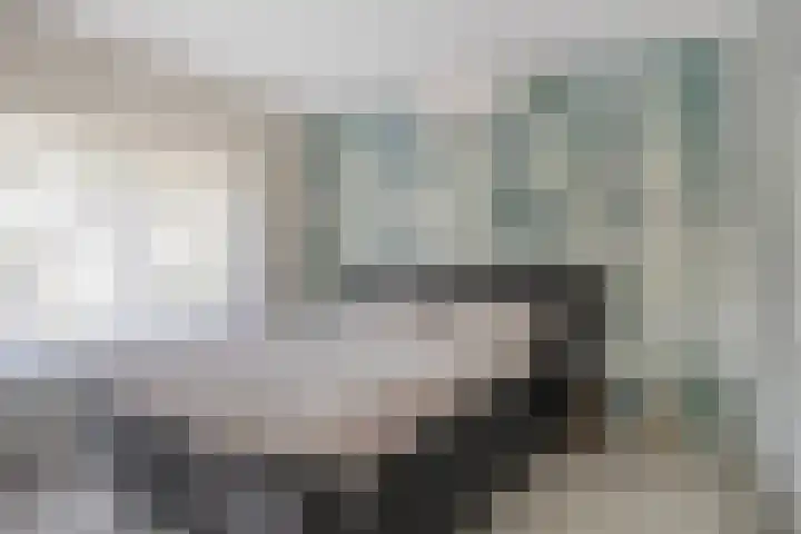 Anjerstraat 38 Drunen thumbnail 17