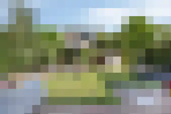 Anjerstraat 38 Drunen thumbnail 33