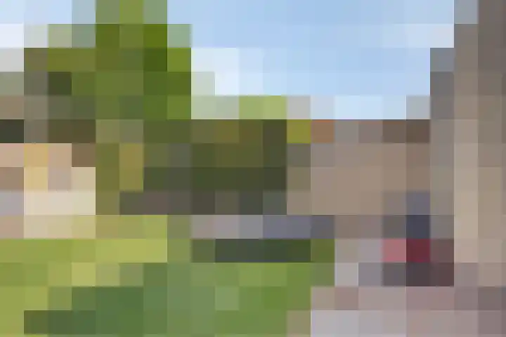 Anjerstraat 38 Drunen thumbnail 35