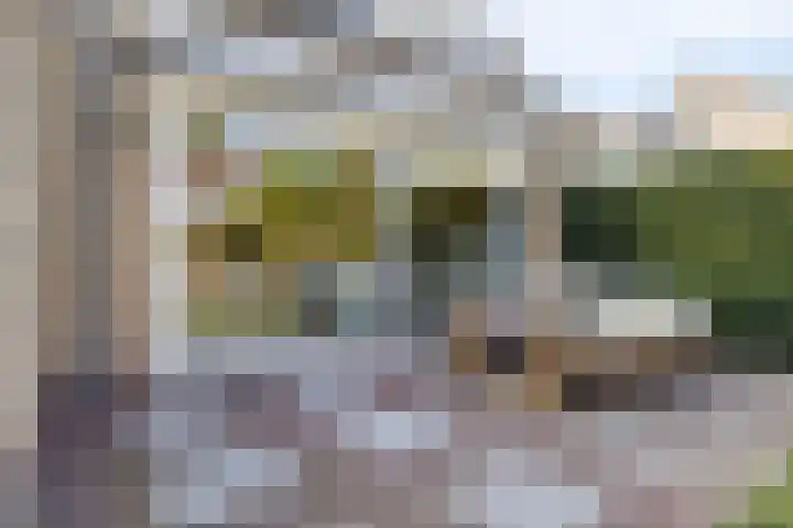 Anjerstraat 38 Drunen thumbnail 36