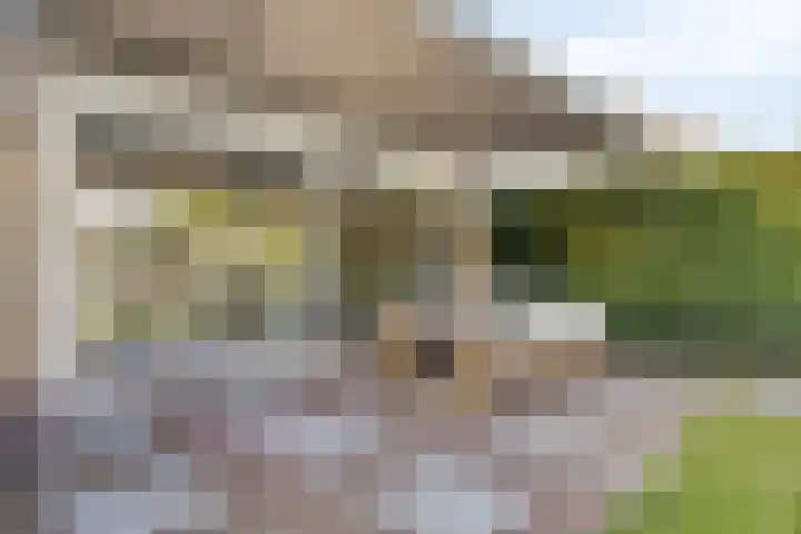 Anjerstraat 38 Drunen thumbnail 37