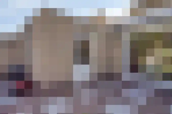 Anjerstraat 38 Drunen thumbnail 38