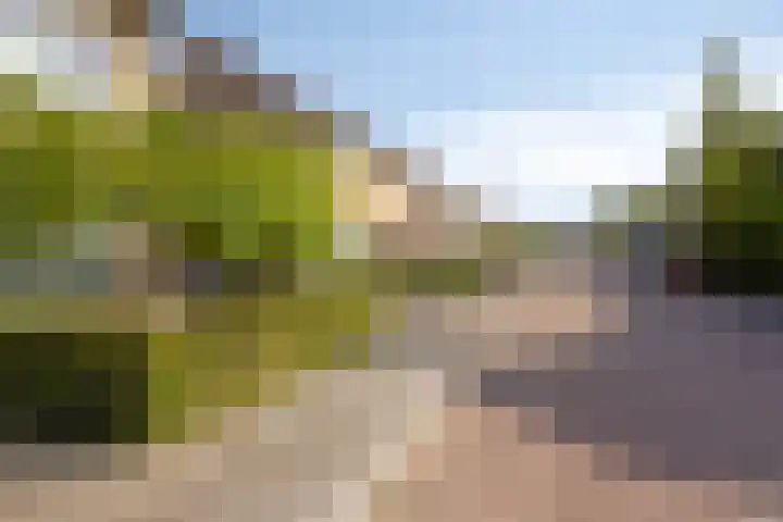 Anjerstraat 38 Drunen thumbnail 43
