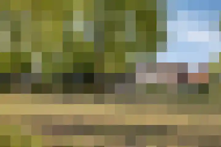 Anjerstraat 38 Drunen thumbnail 45