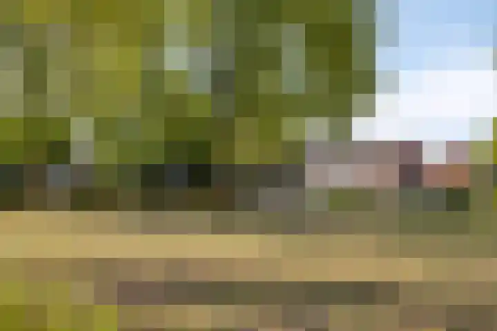 Anjerstraat 38 Drunen thumbnail 46