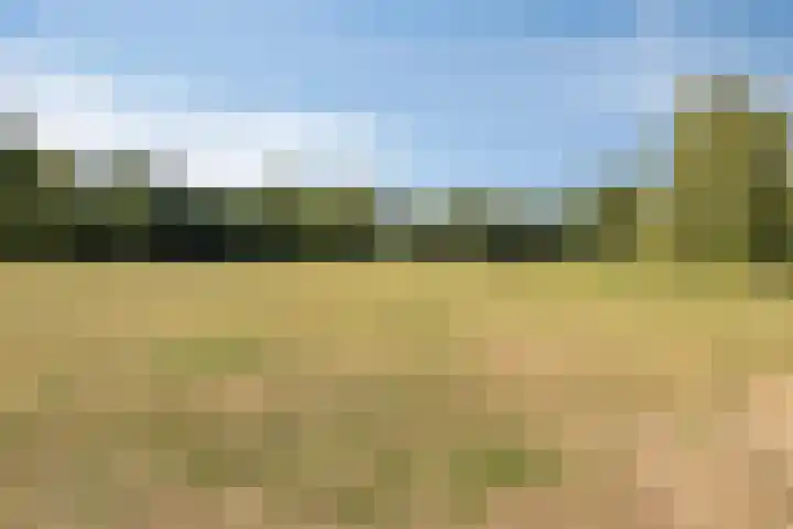 Anjerstraat 38 Drunen thumbnail 47