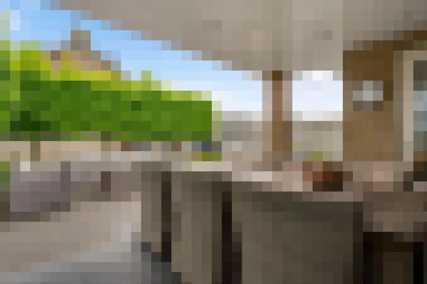 Anjerstraat 39 Maarheeze thumbnail 34