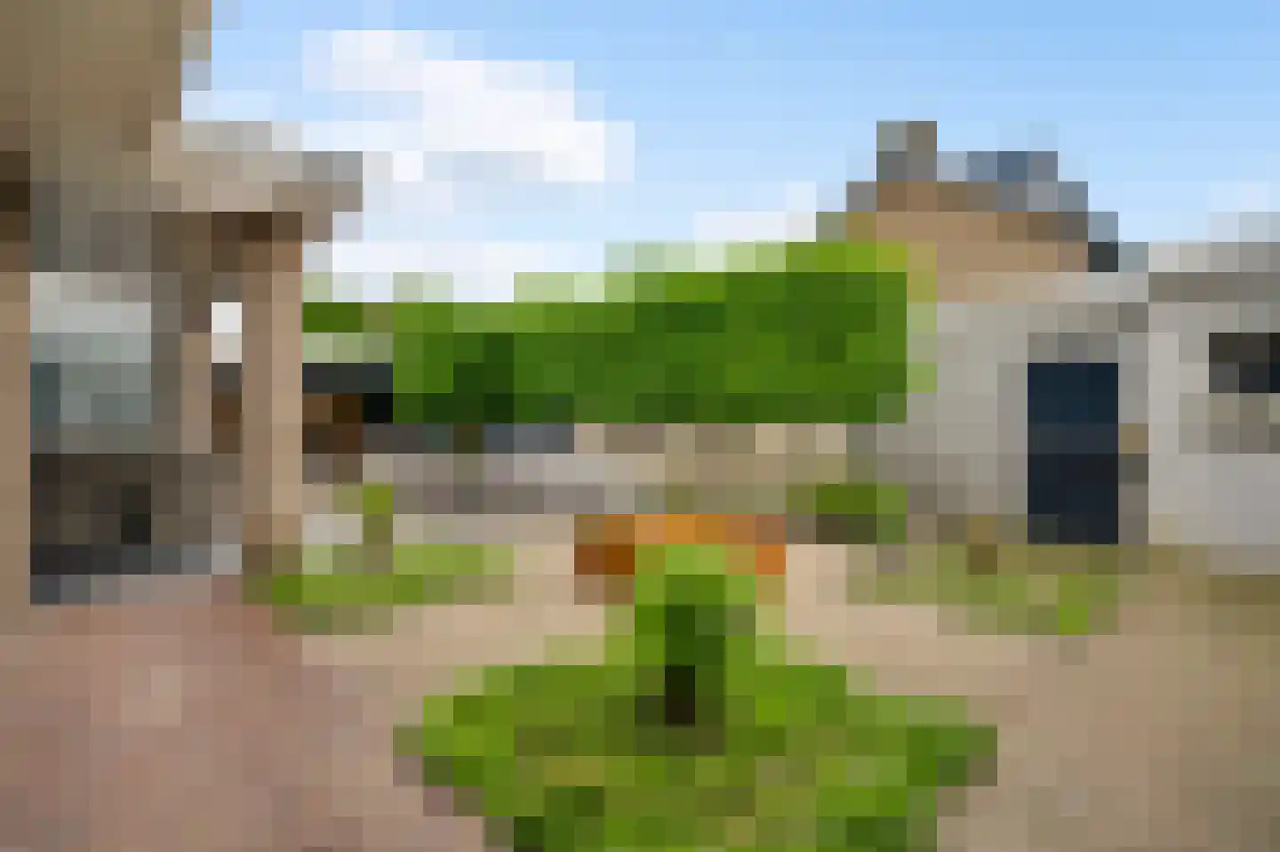 Anjerstraat 39 Maarheeze thumbnail 39