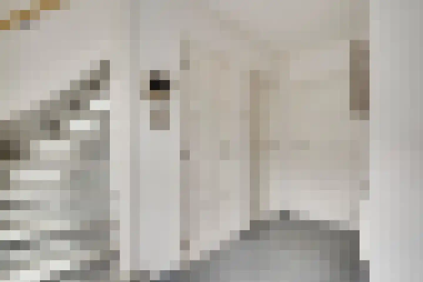 Anjerstraat 39 Maarheeze thumbnail 8