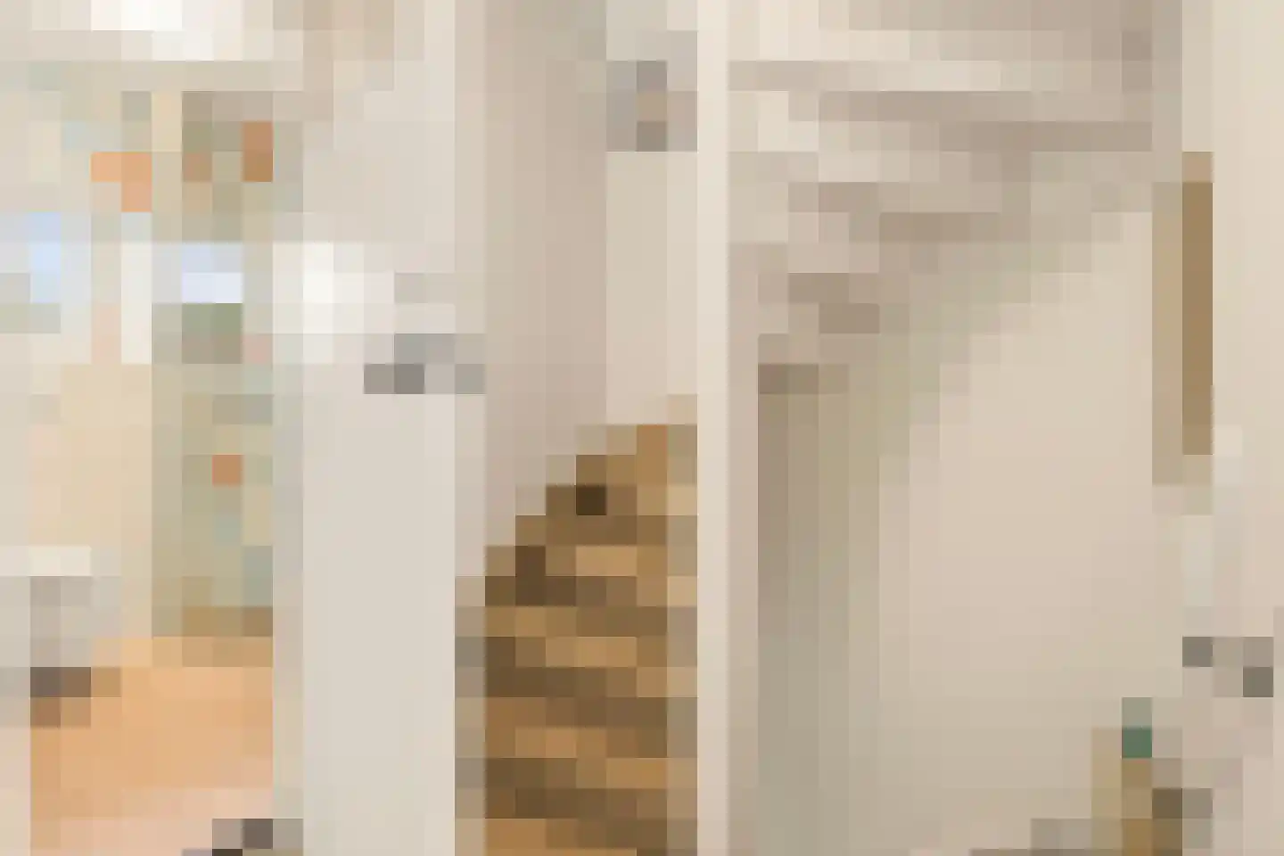 Anjerstraat 39 Raalte thumbnail 25