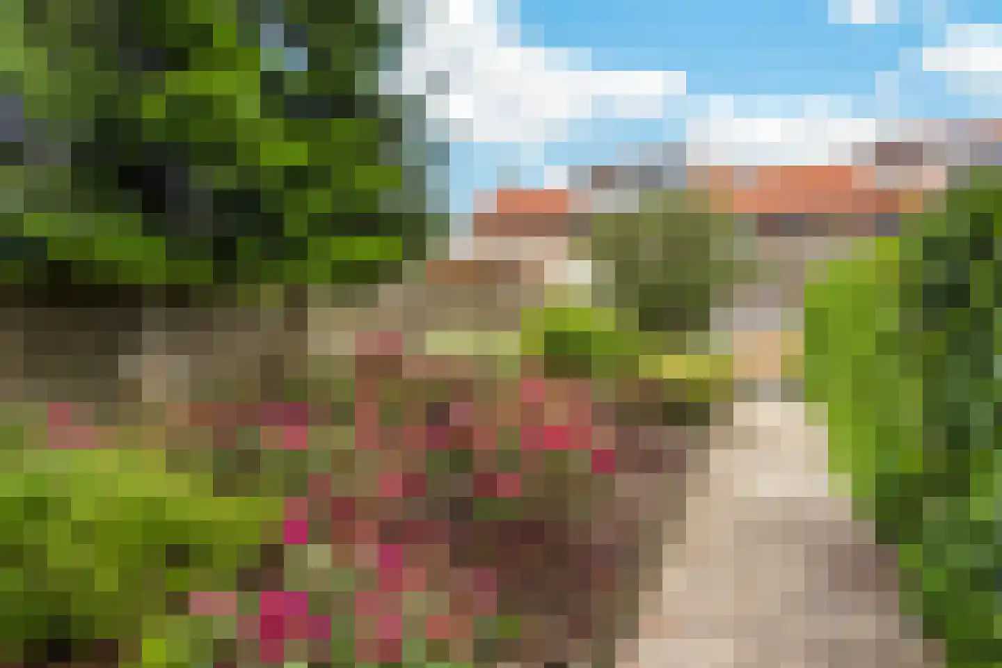 Anjerstraat 39 Raalte thumbnail 33
