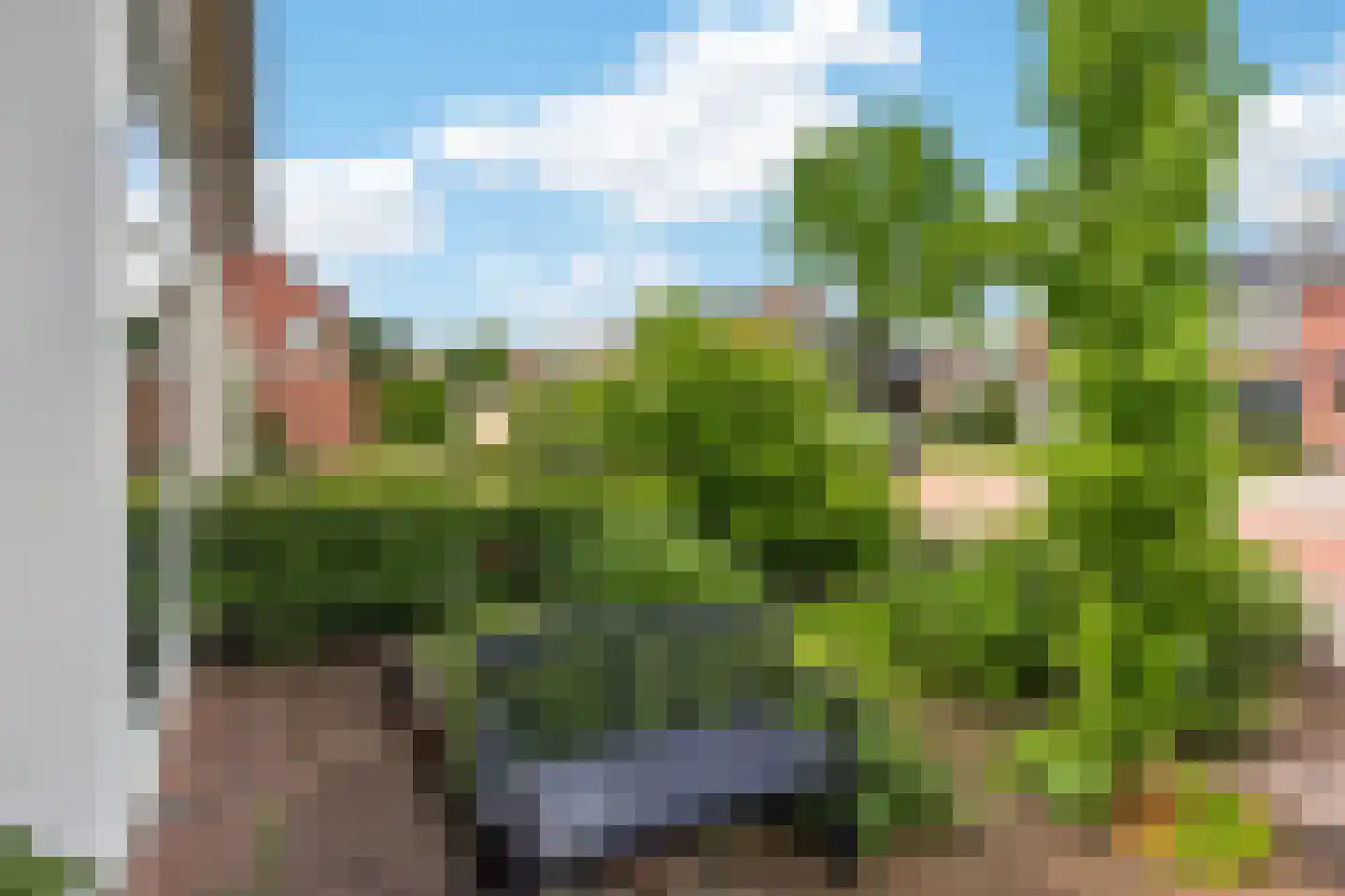 Anjerstraat 39 Raalte thumbnail 36