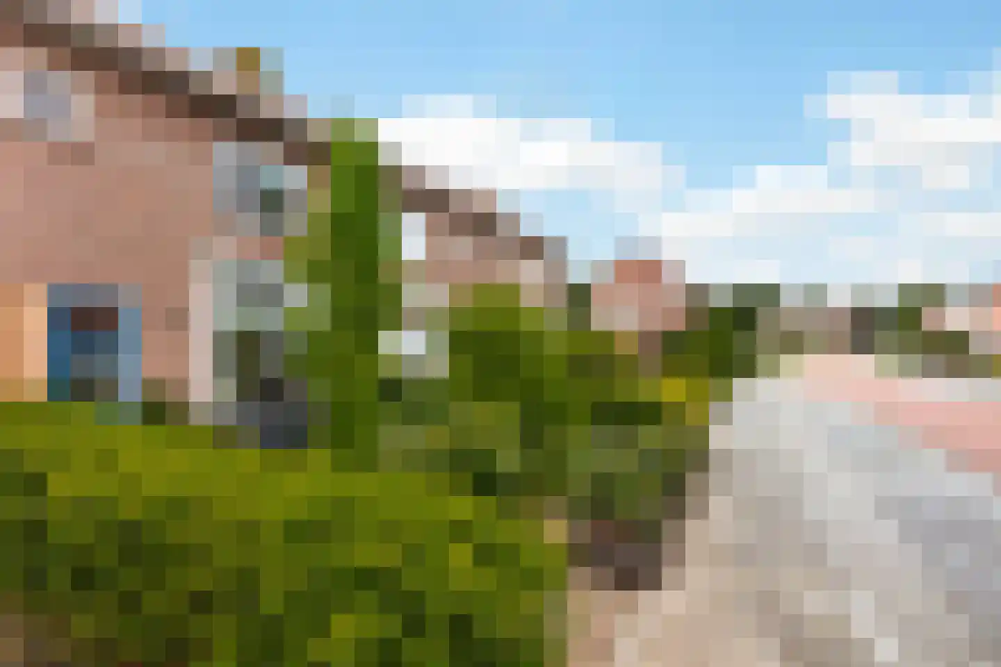 Anjerstraat 39 Raalte thumbnail 37