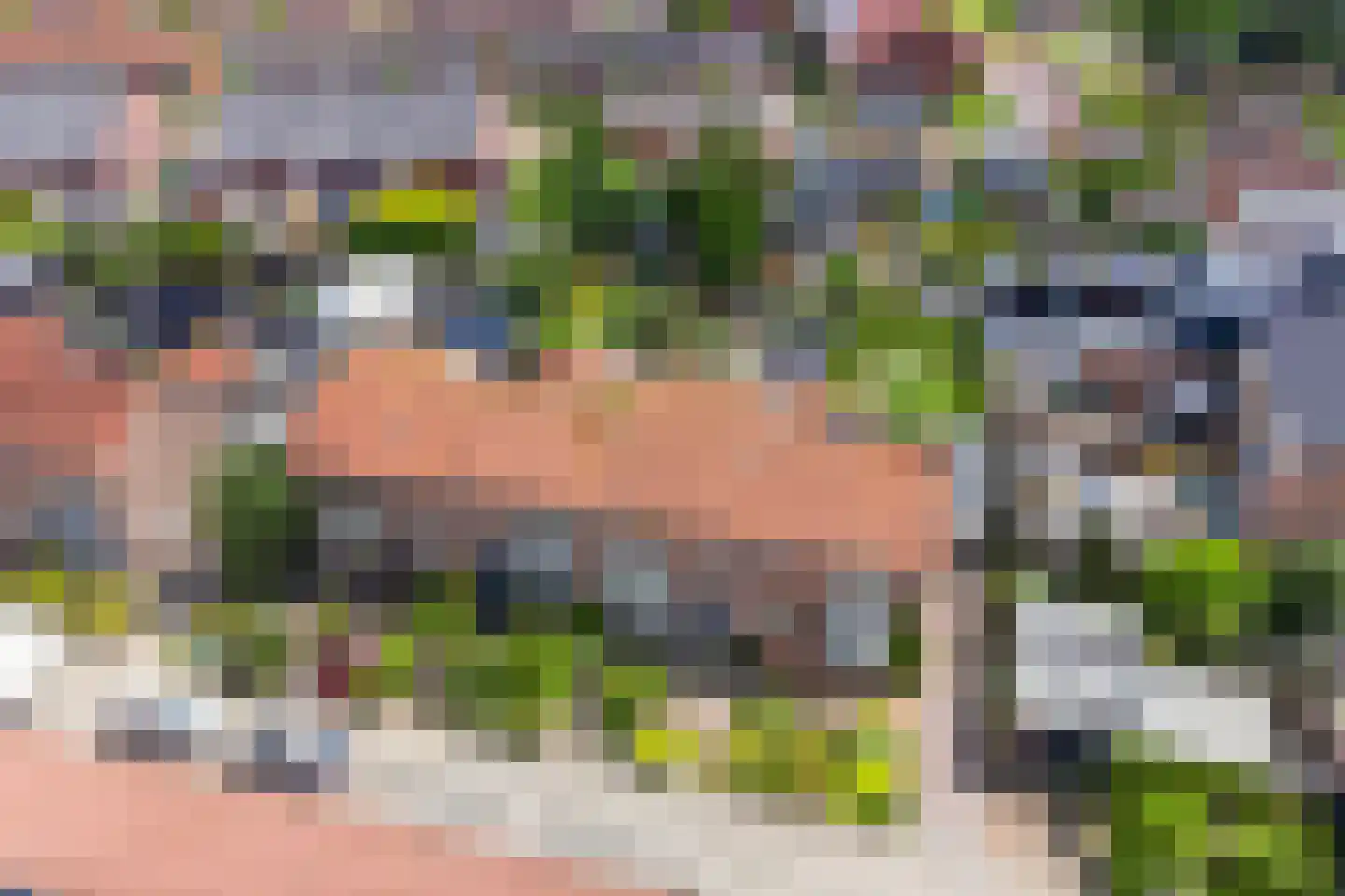 Anjerstraat 39 Raalte thumbnail 38