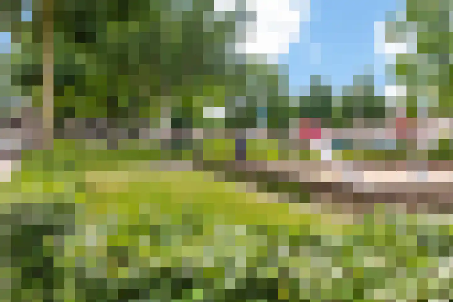 Anjerstraat 39 Raalte thumbnail 39