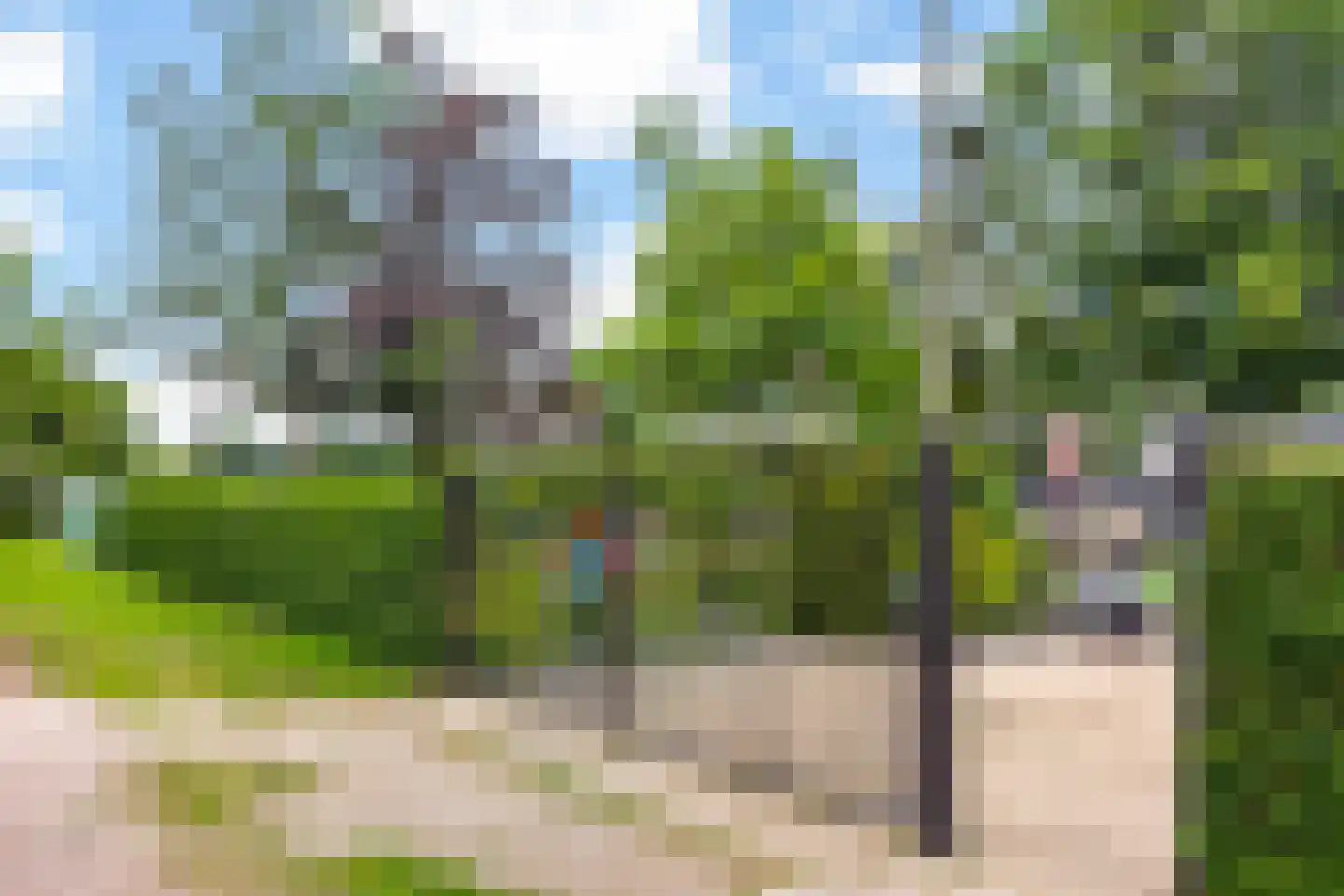Anjerstraat 39 Raalte thumbnail 40