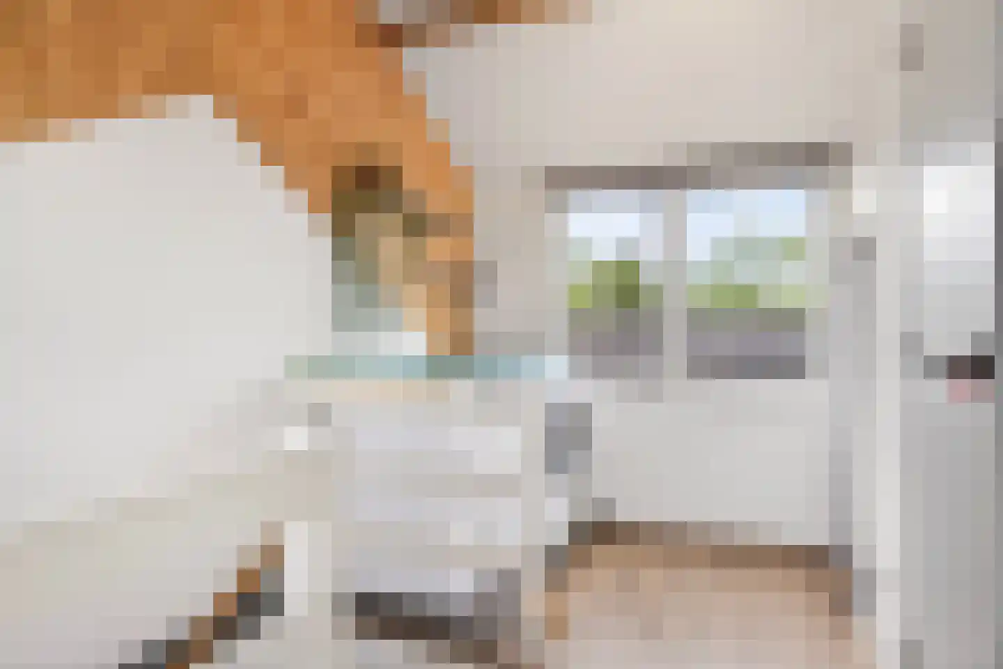 Anjerstraat 4 Veenendaal thumbnail 24