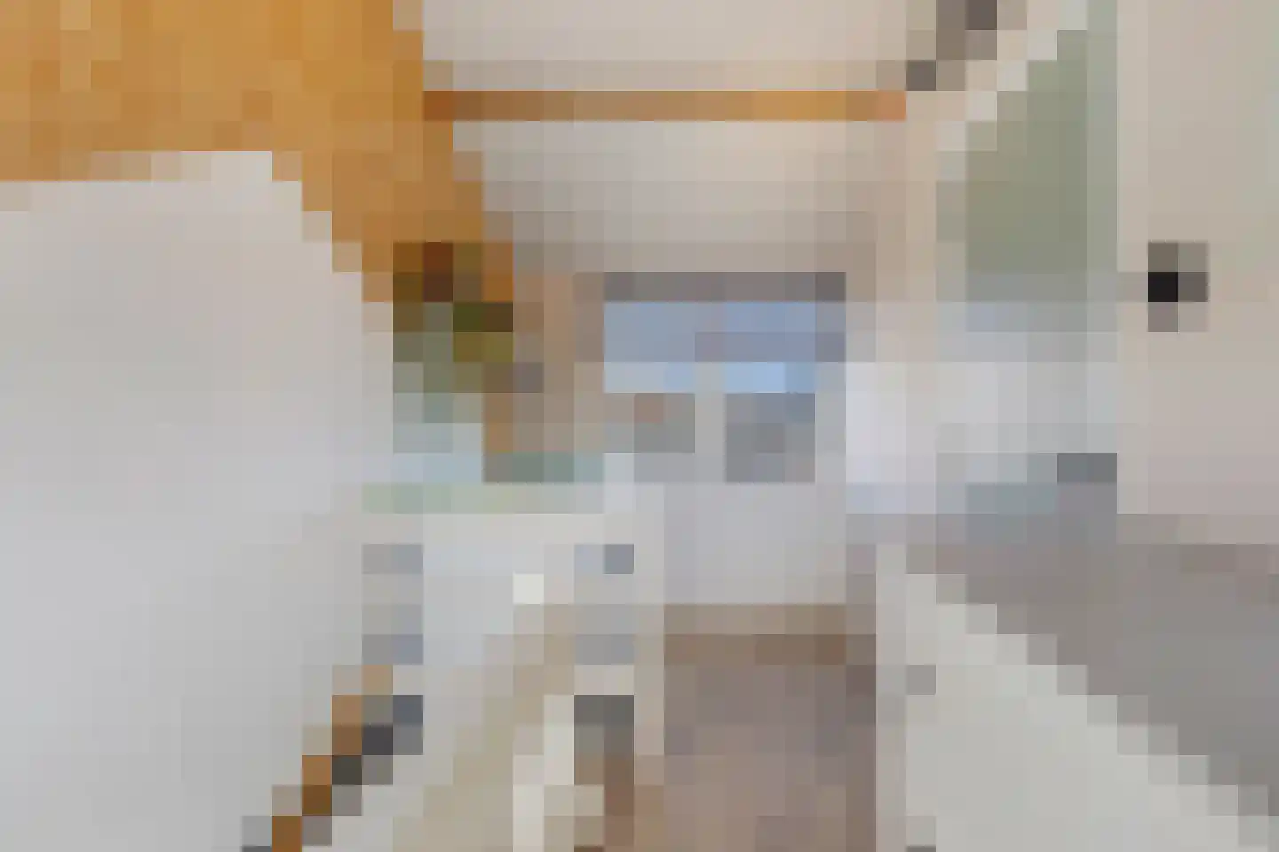 Anjerstraat 4 Veenendaal thumbnail 32