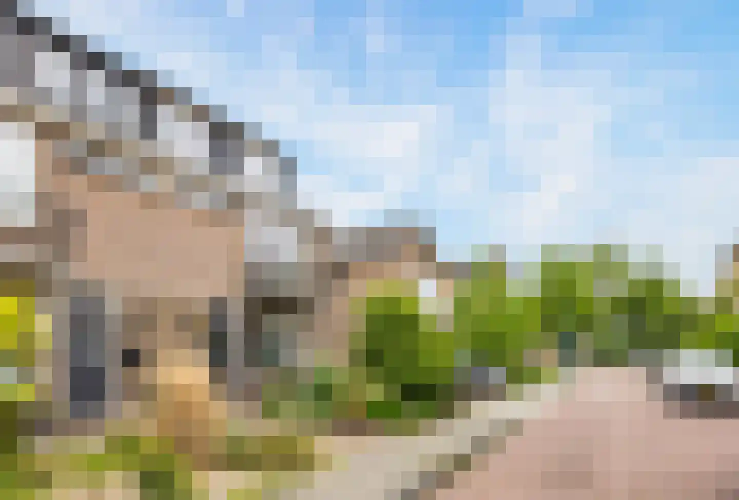 Anjerstraat 4 Veenendaal thumbnail 33