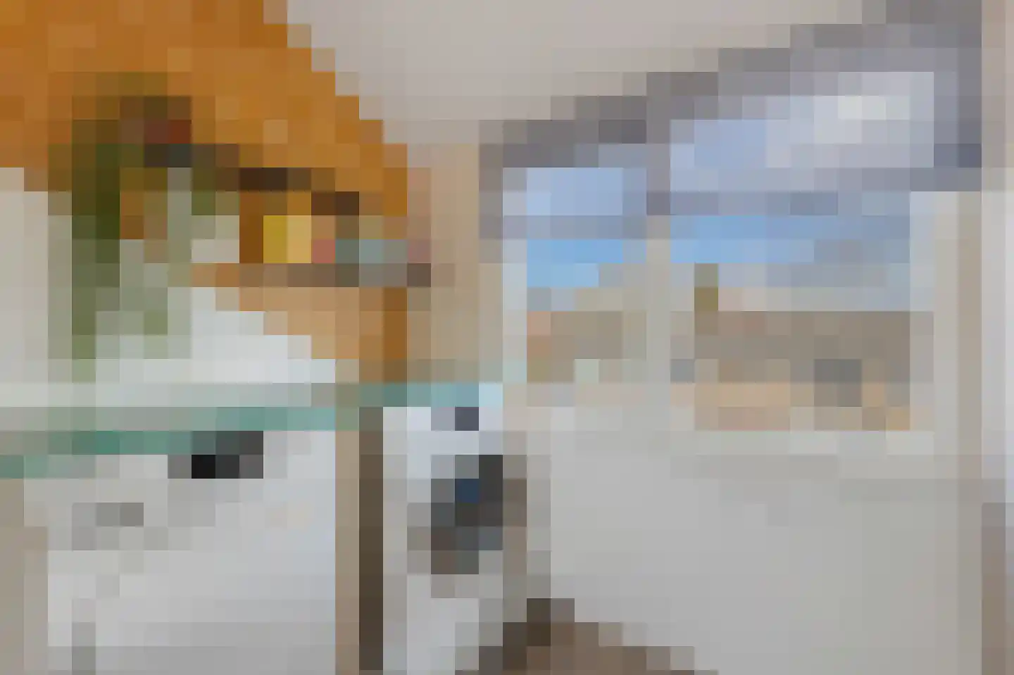 Anjerstraat 4 Veenendaal thumbnail 34