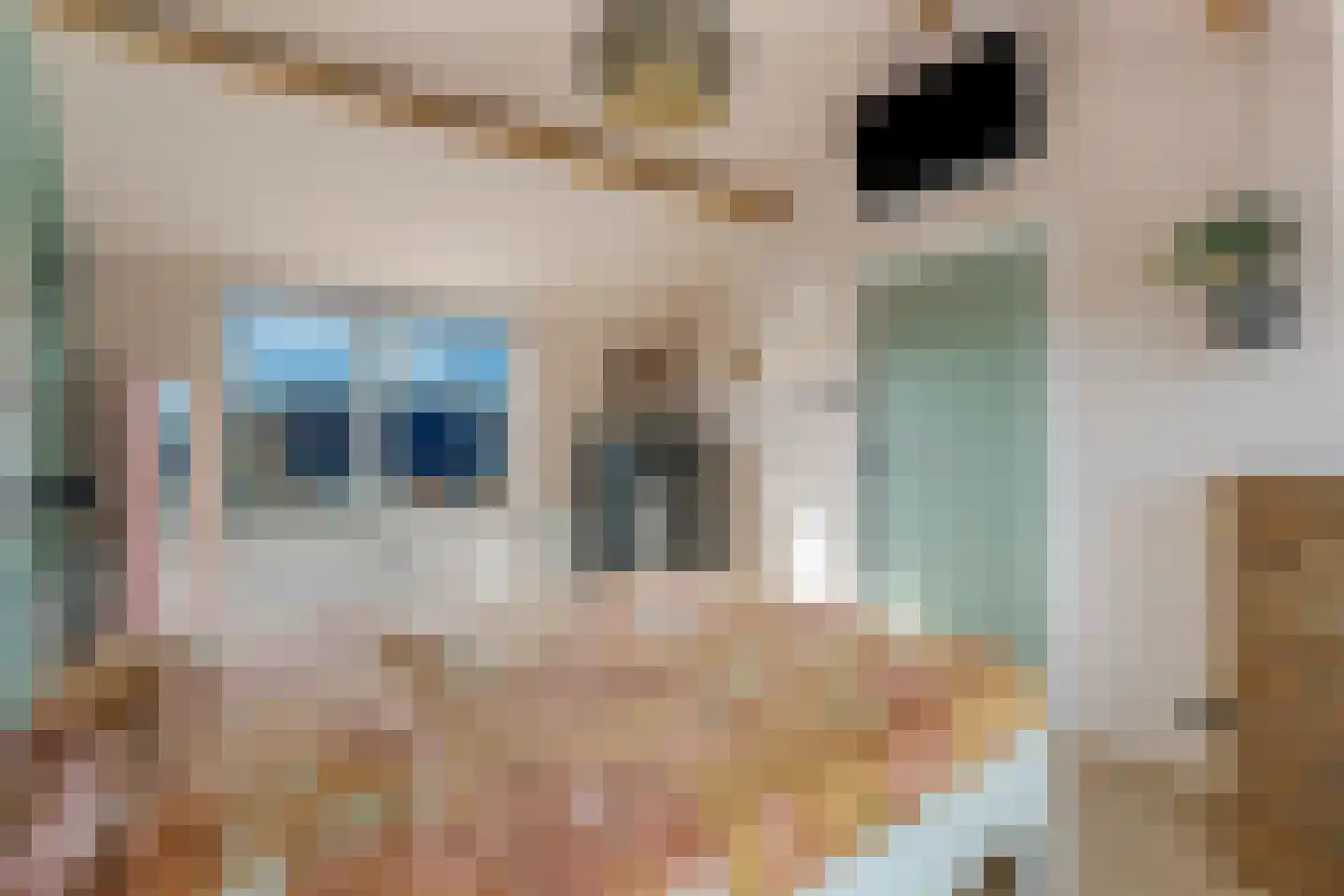 Anjerstraat 4 Veenendaal thumbnail 35