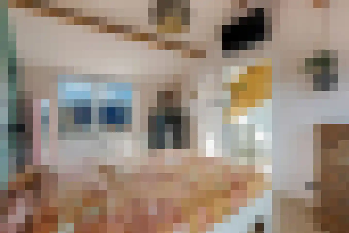 Anjerstraat 4 Veenendaal thumbnail 37