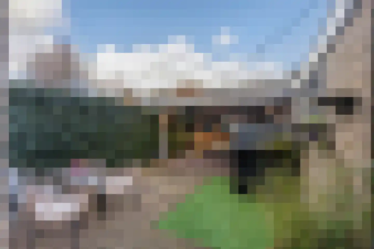 Anjerstraat 4 Veenendaal thumbnail 40