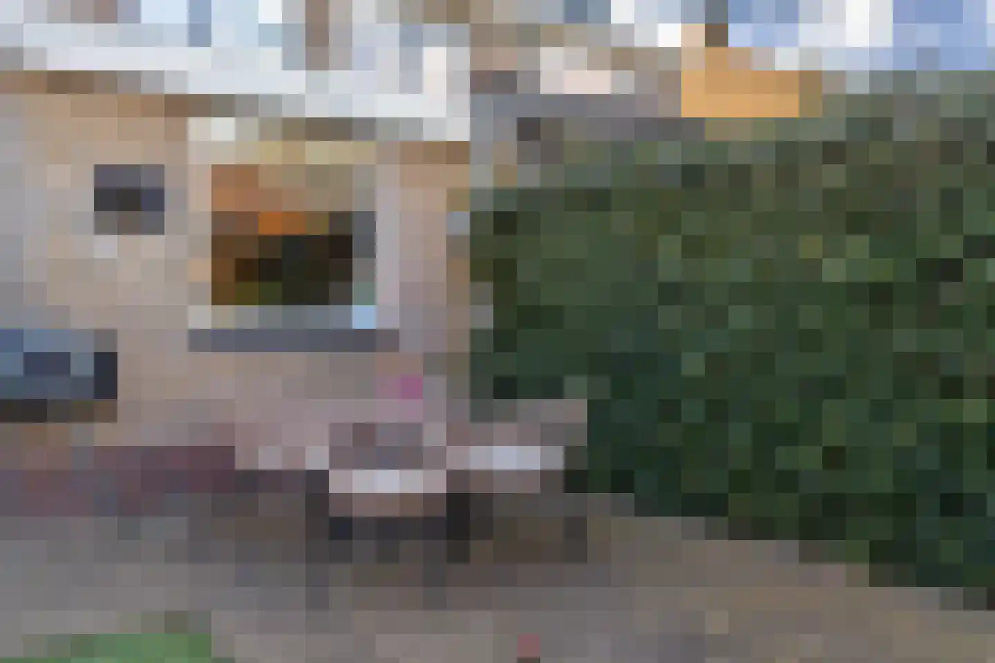 Anjerstraat 4 Veenendaal thumbnail 41