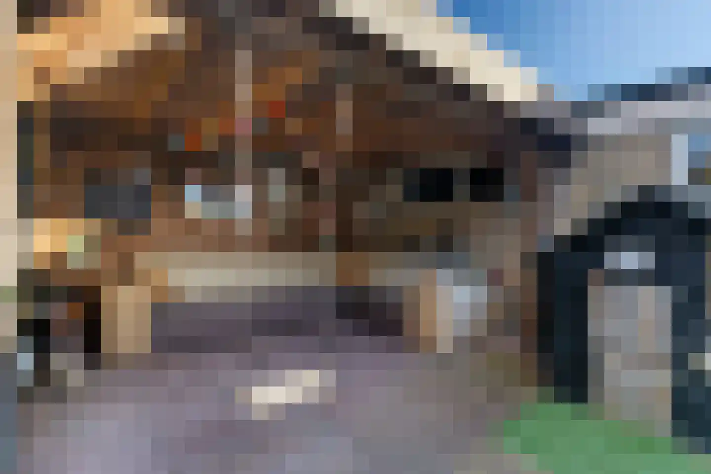 Anjerstraat 4 Veenendaal thumbnail 42