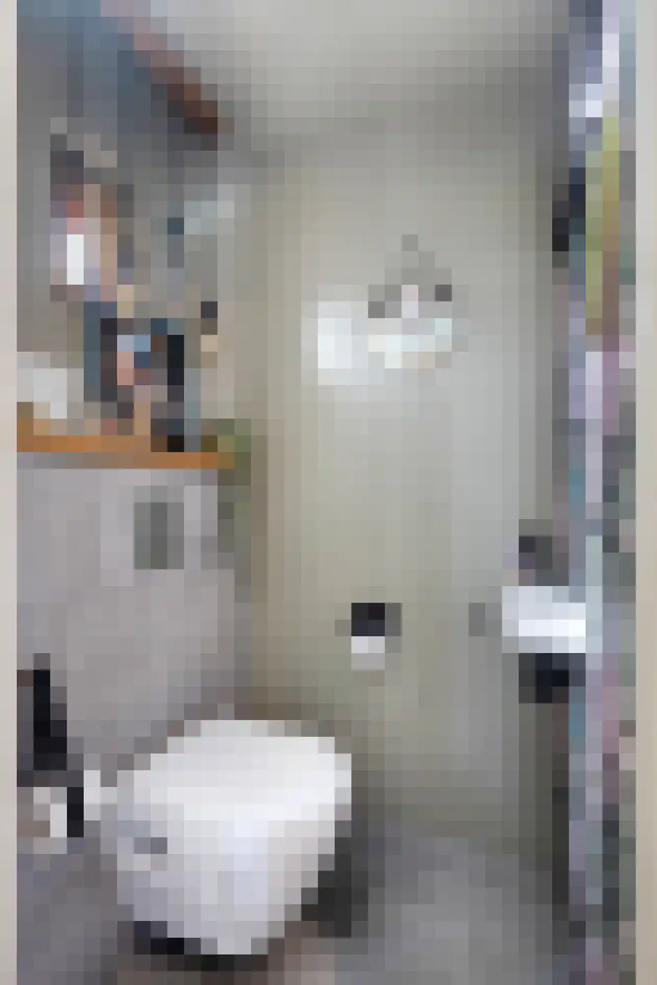 Anjerstraat 4 Veenendaal thumbnail 5