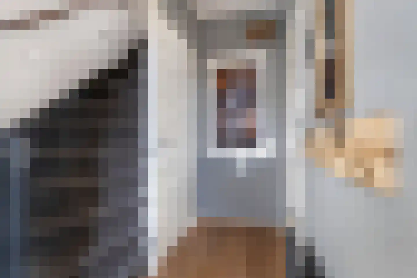 Anjerstraat 4 Veenendaal thumbnail 6