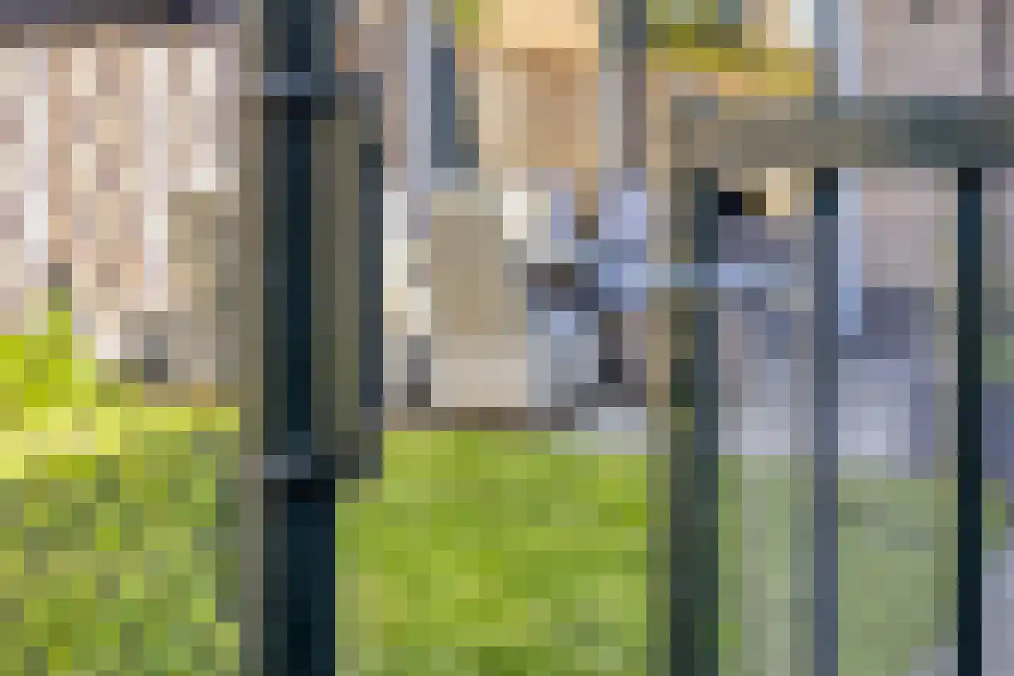 Anjerstraat 5 Denekamp thumbnail 26