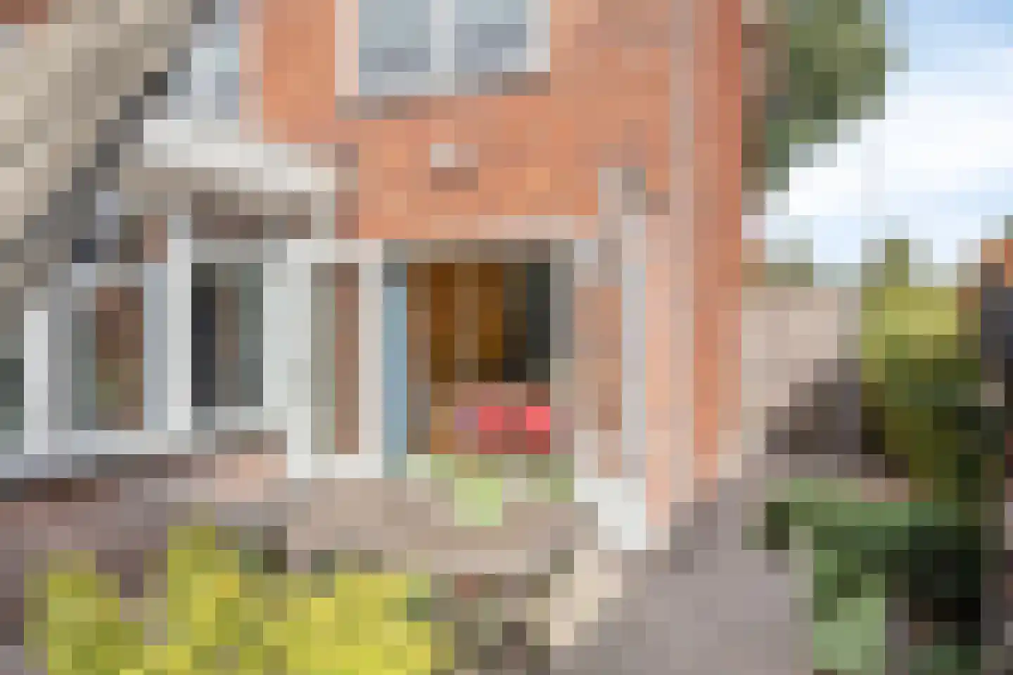 Anjerstraat 61 Oldenzaal thumbnail 24