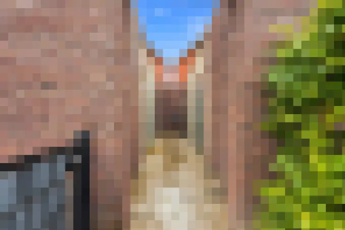 Anjerstraat 7 Alblasserdam thumbnail 37