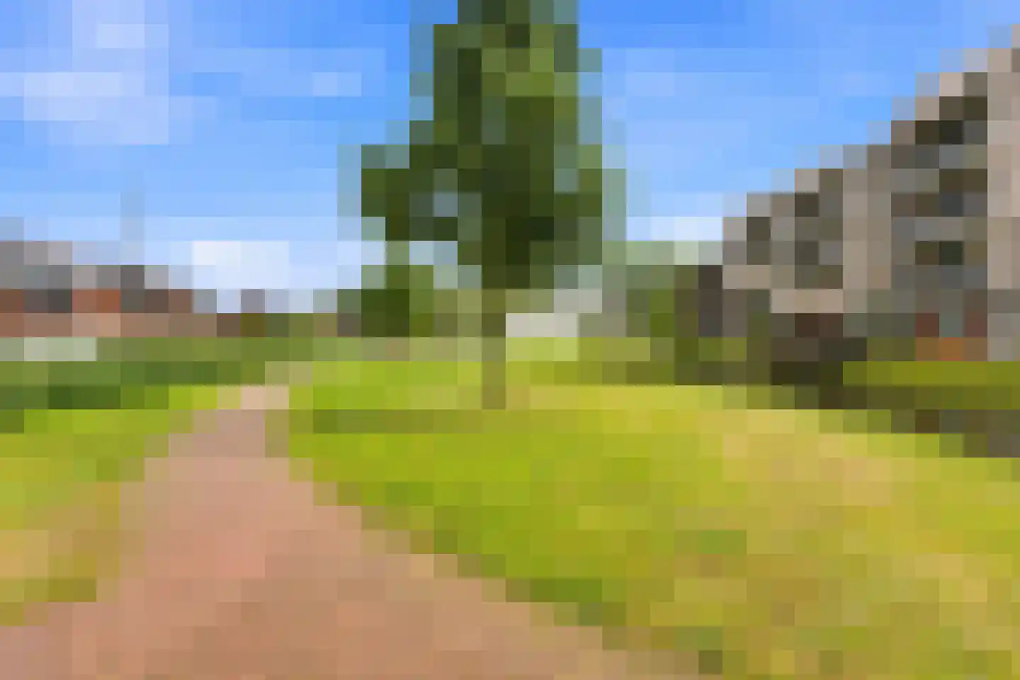 Anjerstraat 7 Alblasserdam thumbnail 38