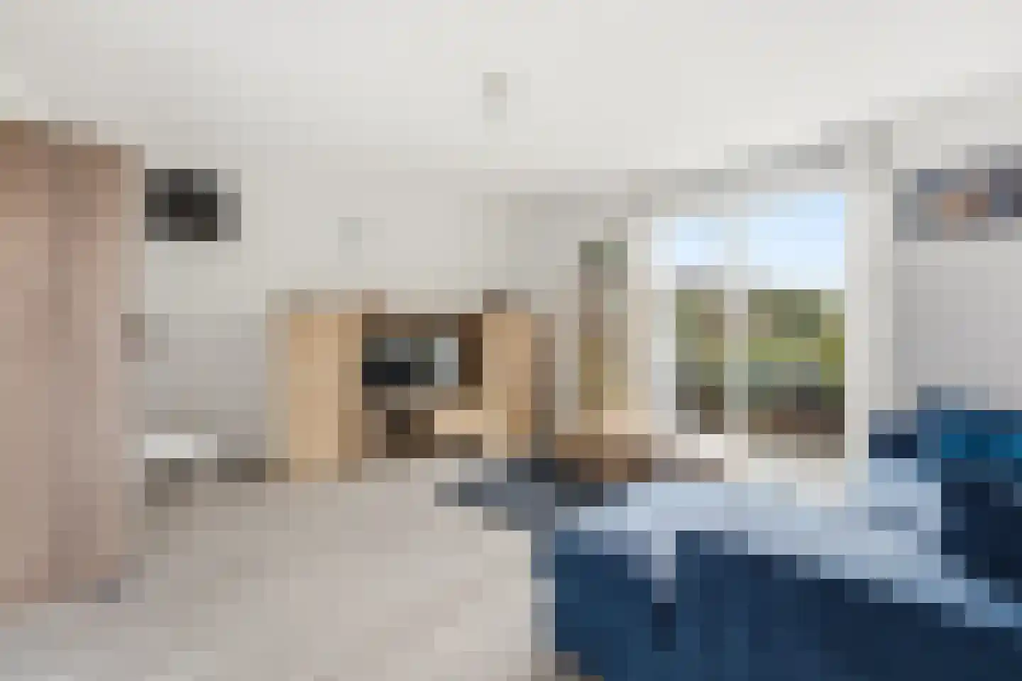 Anjerstraat 7 Alblasserdam thumbnail 7