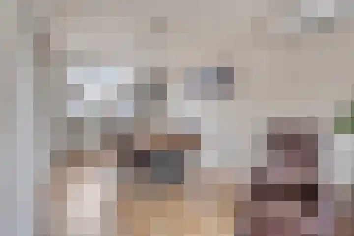 Anjerstraat 7 Siebengewald thumbnail 14
