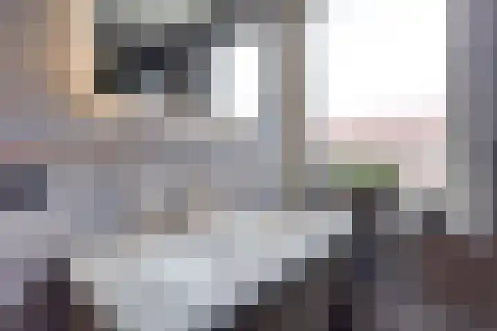 Anjerstraat 7 Siebengewald thumbnail 23